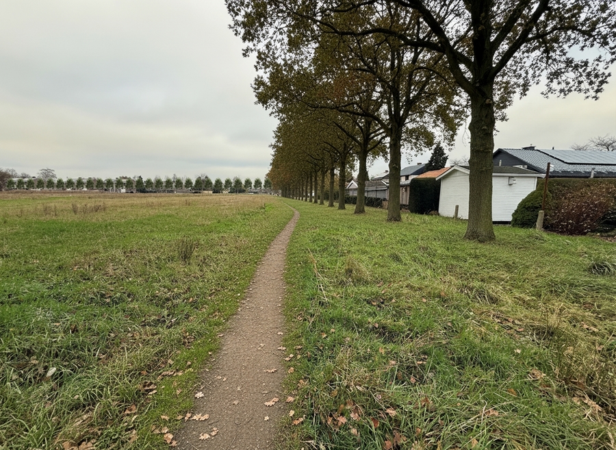 simulatie van het natuurgebied na de werken simulatie van het natuurgebied na de werken